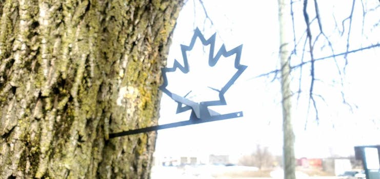 Canada Strong Maple Leaf Bird Feeder